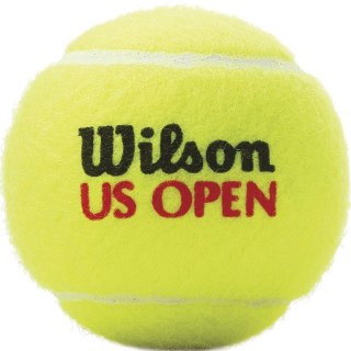 Piłki do tenisa ziemnego Wilson US Open XD 3szt WRT106200 Wilson