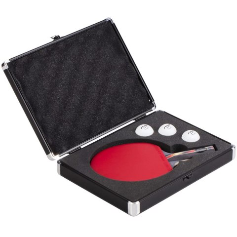 Futerał Point aluminiowy srebrny Point