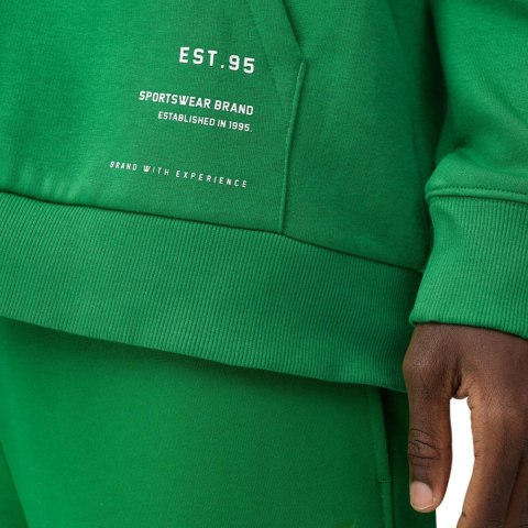 Bluza męska 4F zielona 4FSS23TSWSM236 41S 4F