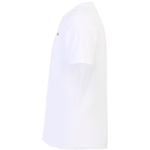 Koszulka męska Fila Laas Regular Tee biała FAM0874 10001 Fila