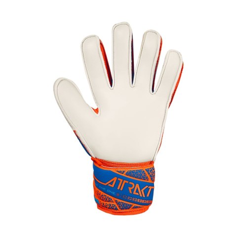 Rękawice bramkarskie Reusch Attrakt Solid Junior pomarańczowo-niebieskie 5572515 2290 Reusch