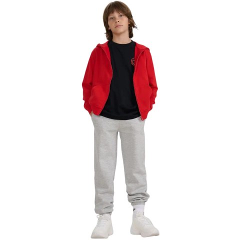 Bluza dla chłopca 4F M1944 czerwona 4FJWAW25TSWSM1944 62S 4F