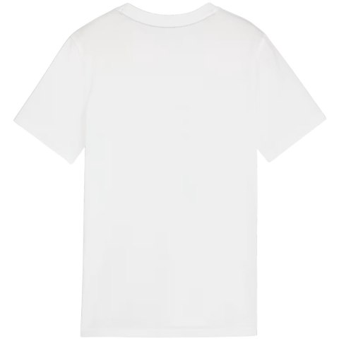 Koszulka dla dzieci Puma Team Goal Casuals Tee biała 658616 04 Puma