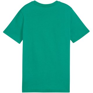 Koszulka dla dzieci Puma Team Goal Casuals Tee zielona 658616 05 Puma