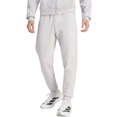 Spodnie męskie adidas Entrada 26 Sweat szare JZ9139 Adidas teamwear