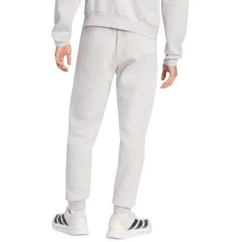 Spodnie męskie adidas Entrada 26 Sweat szare JZ9139 Adidas teamwear