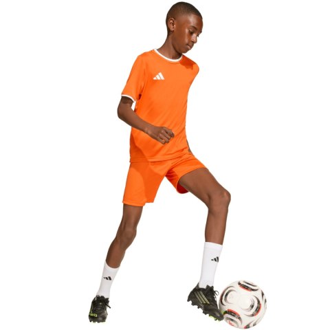 Koszulka dla dzieci adidas Entrada 26 Jersey pomarańczowa JZ2526 Adidas teamwear