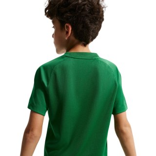Koszulka dla dzieci Nike Dri-Fit Park VIII zielona HV8182 302 Nike Team