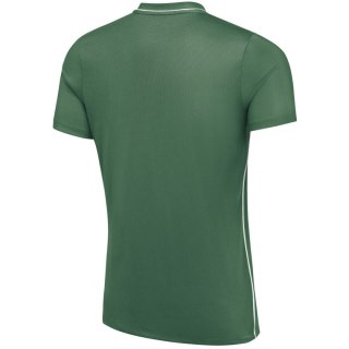Koszulka męska Nike Dri-Fit Park 26 SS Top zielona HM7127 302 Nike Team