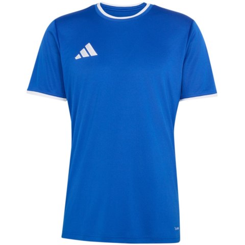 Koszulka męska adidas Entrada 26 Jersey niebieska JZ2506 Adidas teamwear
