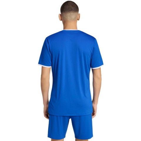 Koszulka męska adidas Entrada 26 Jersey niebieska JZ2506 Adidas teamwear