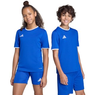 Koszulka dla dzieci adidas Entrada 26 Jersey niebieska JZ2531 Adidas teamwear