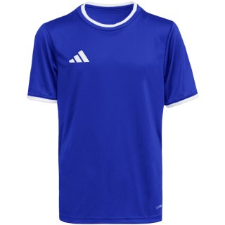 Koszulka dla dzieci adidas Entrada 26 Jersey niebieska JZ2531 Adidas teamwear