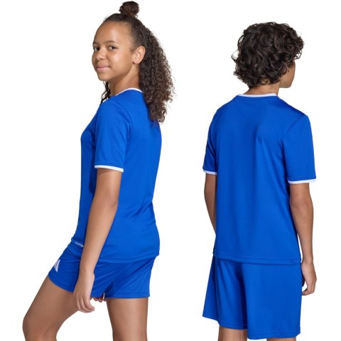 Koszulka dla dzieci adidas Entrada 26 Jersey niebieska JZ2531 Adidas teamwear