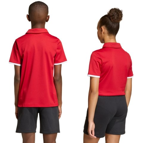 Koszulka dla dzieci adidas Entrada 26 Polo czerwona JZ6626 Adidas teamwear