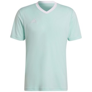 Koszulka męska adidas Entrada 22 Jersey miętowa HC5073 Adidas teamwear