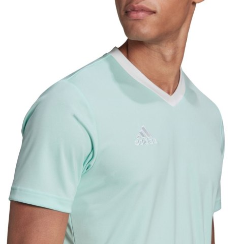 Koszulka męska adidas Entrada 22 Jersey miętowa HC5073 Adidas teamwear