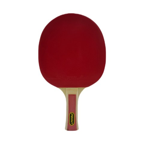 Rakietka do ping ponga Point Team Point